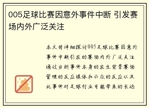 005足球比赛因意外事件中断 引发赛场内外广泛关注