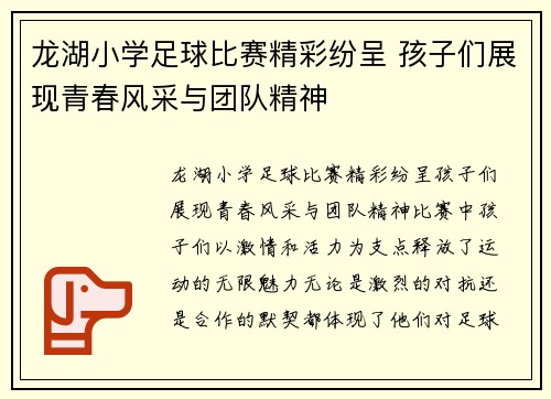 龙湖小学足球比赛精彩纷呈 孩子们展现青春风采与团队精神